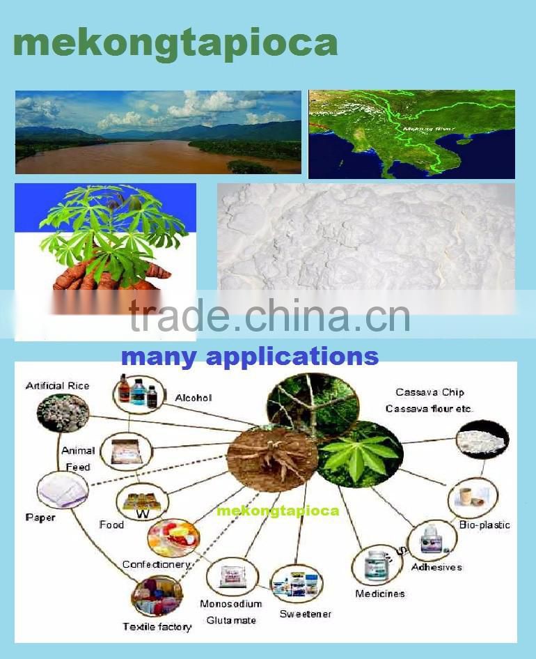 Tapioca starch Vietnam food grade - Mekongtapioca -good price