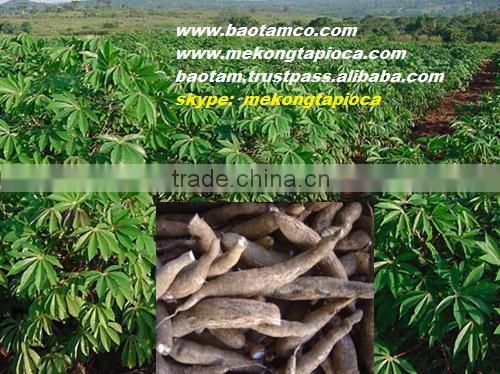 Tapioca starch - Mekong Tapioca - Good price