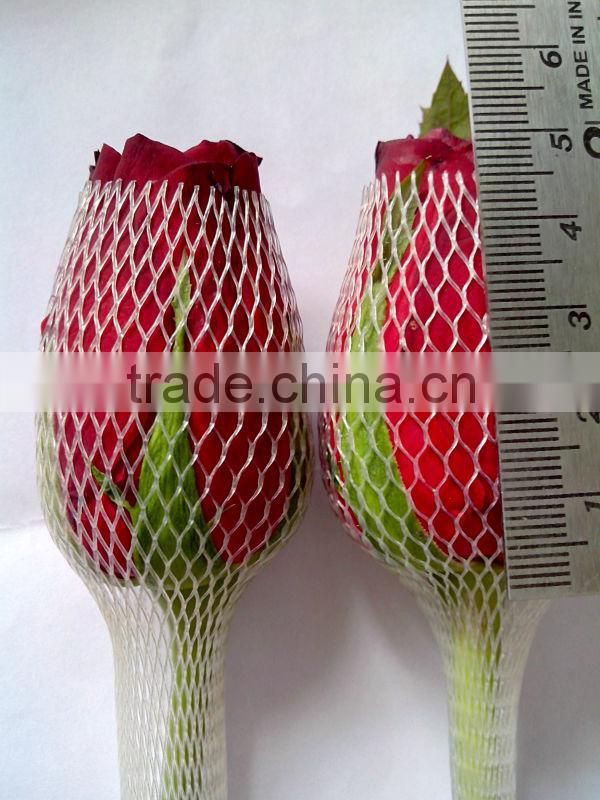 Tajmahal Indian Roses/Fresh Cut Roses/Fresh Flowers!