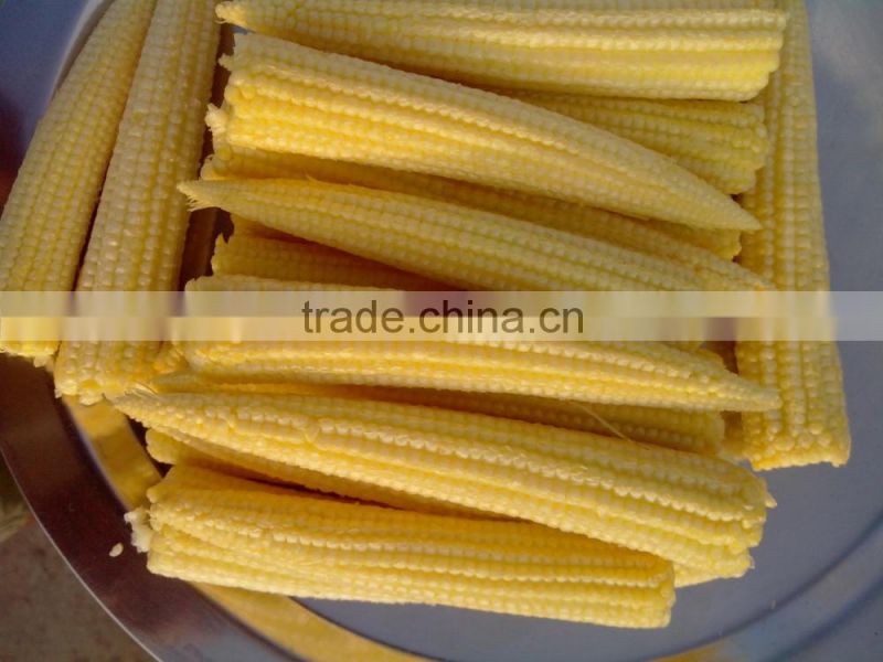 Fresh Baby Corn/Baby Corns/ Peeled Baby Corns!