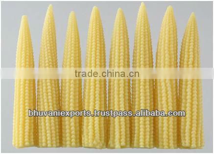 Fresh Baby Corn/Baby Corns/ Peeled Baby Corns!