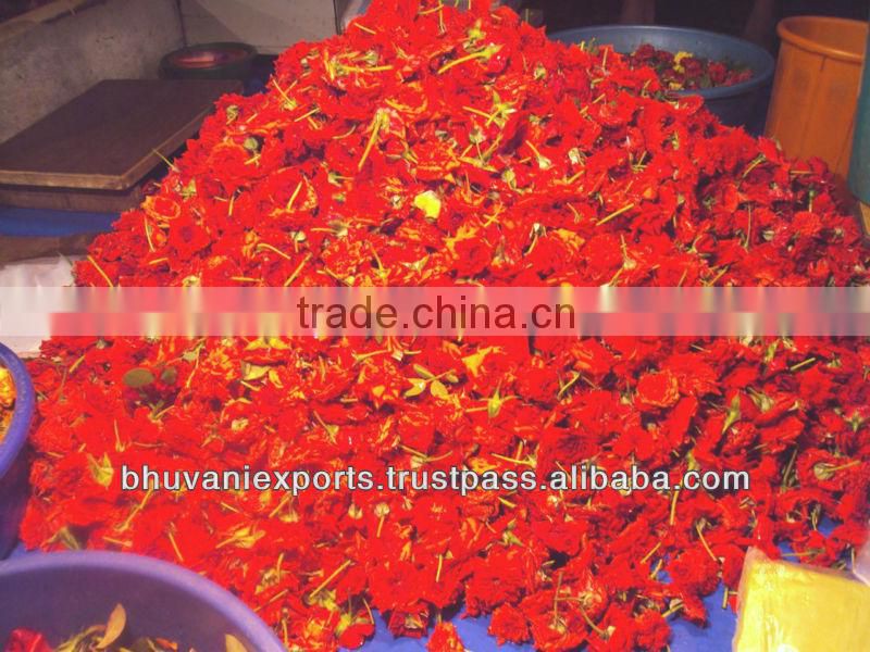 Fresh Mini Roses/Fresh Flowers/Mini Roses!