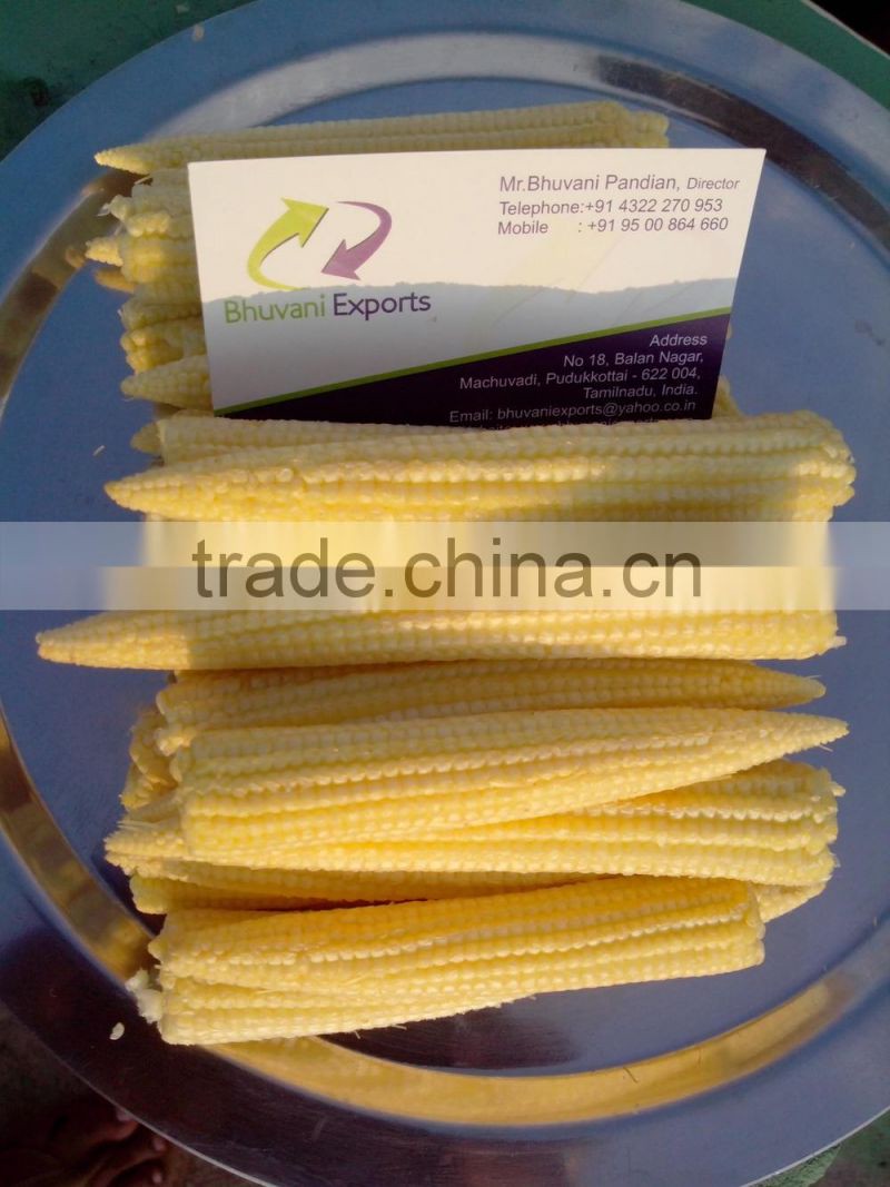 Fresh Baby Corn/Baby Corns/ Peeled Baby Corns!