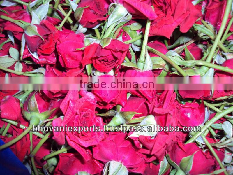 Fresh Mini Roses/Fresh Flowers/Mini Roses!