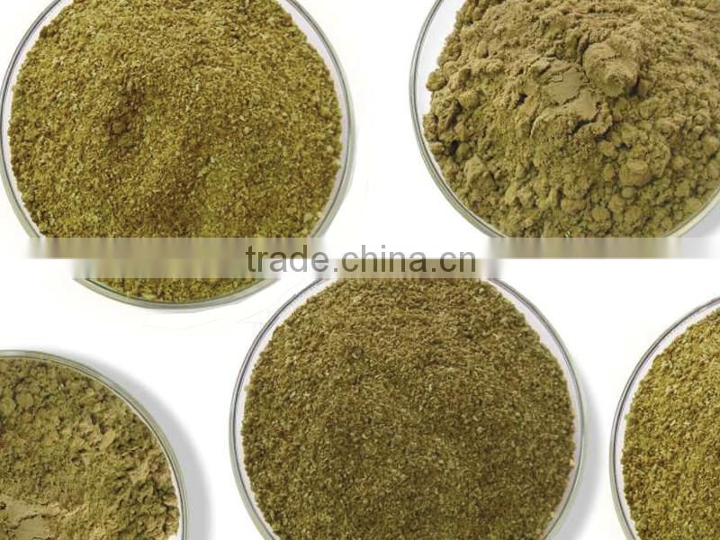 Steam Dried Fish Meal