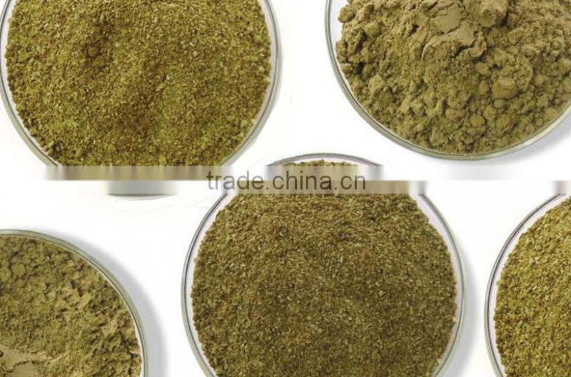 High quality fish meal