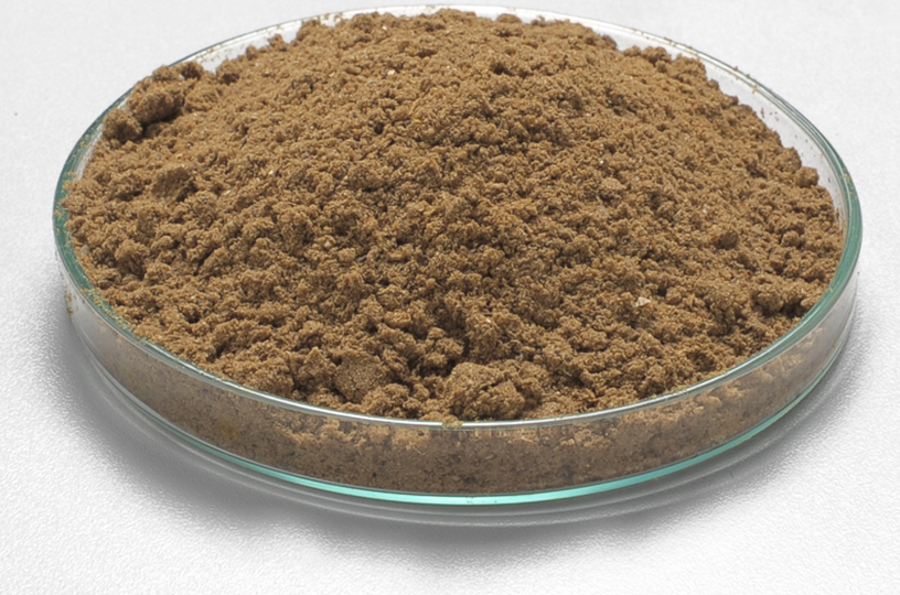 Sardine Steam Dried Fish Meal