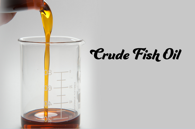 Crude Fish Oil Best Quality