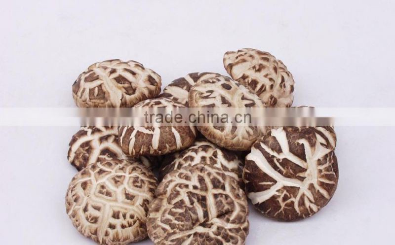 Polish Whole Dried Straw Mashrooms