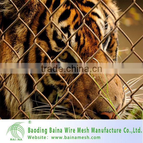 Hot Sale Stainless Steel Mesh Fence In China