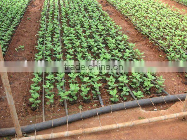 Inline round drippers pipe for saving water irrigation