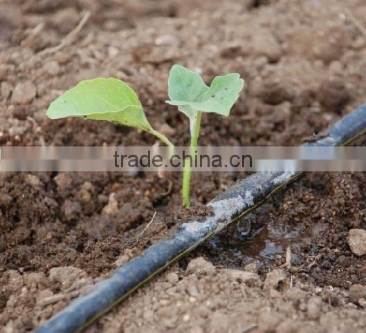 Agriculture Plastic Trickle irrigation tape for irrigation system