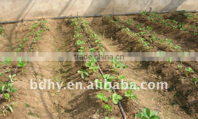Anti-block drip irrigation tape with flat dripper for irrigation of greenhouse