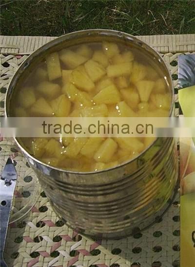 CANNED PINEAPPLE HIGH QUALITY and THE BEST PRICE