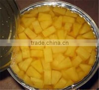 CANNED PINEAPPLE HIGH QUALITY and THE BEST PRICE