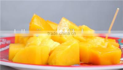 CANNED PINEAPPLE HIGH QUALITY and THE BEST PRICE