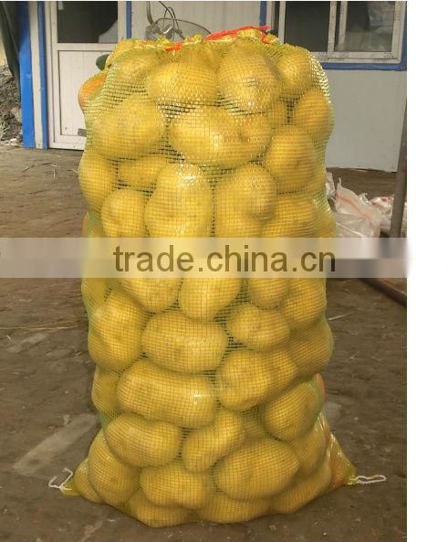 cheap PP tubular mesh bag for onion