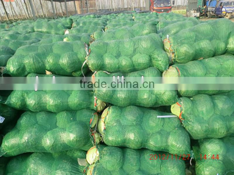 Hebei recycled plastic net bag for sale in low price