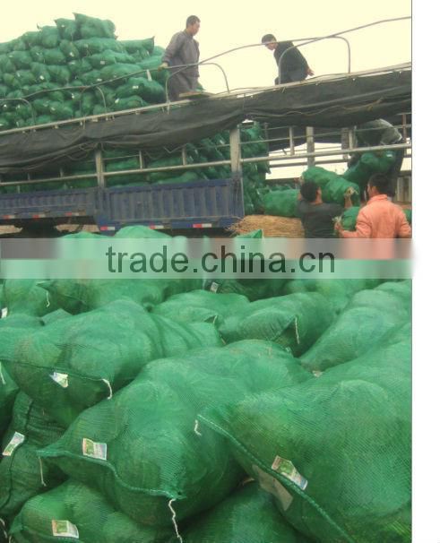cabbage bags for sale , new product pp leno mesh bag for vegetable