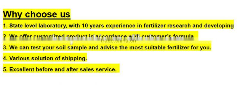 NPK Water-soluble NPK Fertilizer 19-19-19 with TE