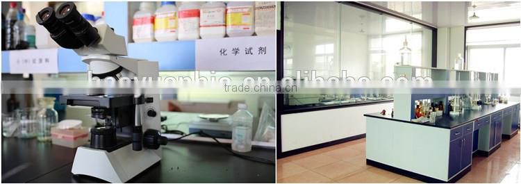 NPK Water-soluble NPK Fertilizer 19-19-19 with TE