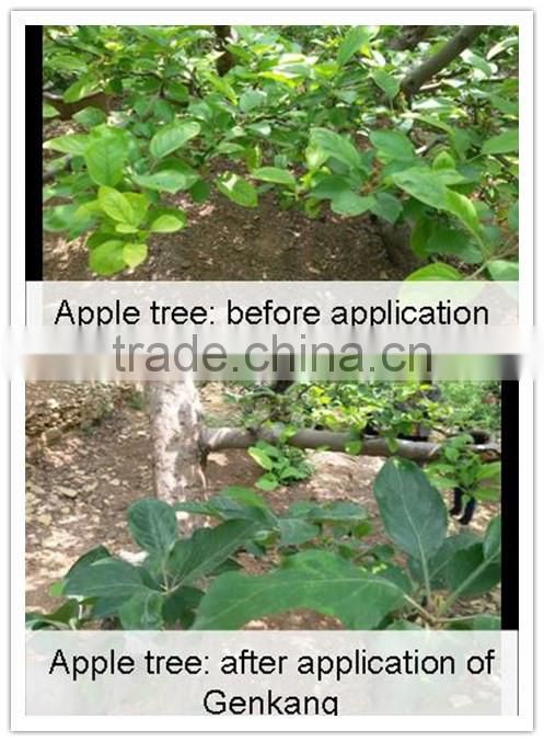 Rooting Organic Liquid Microbial Fertilizer with Amino Acid and Fulvic Acid