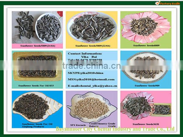 Round Shape Striped Raw American Bulk Sunflower Seeds 1121
