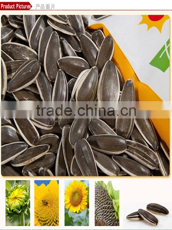 Round Shape Striped Raw American Bulk Sunflower Seeds 1121