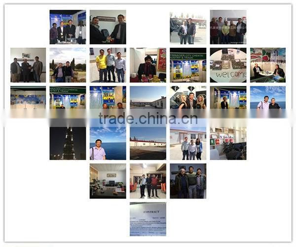 Round Shape Striped Raw American Bulk Sunflower Seeds 1121