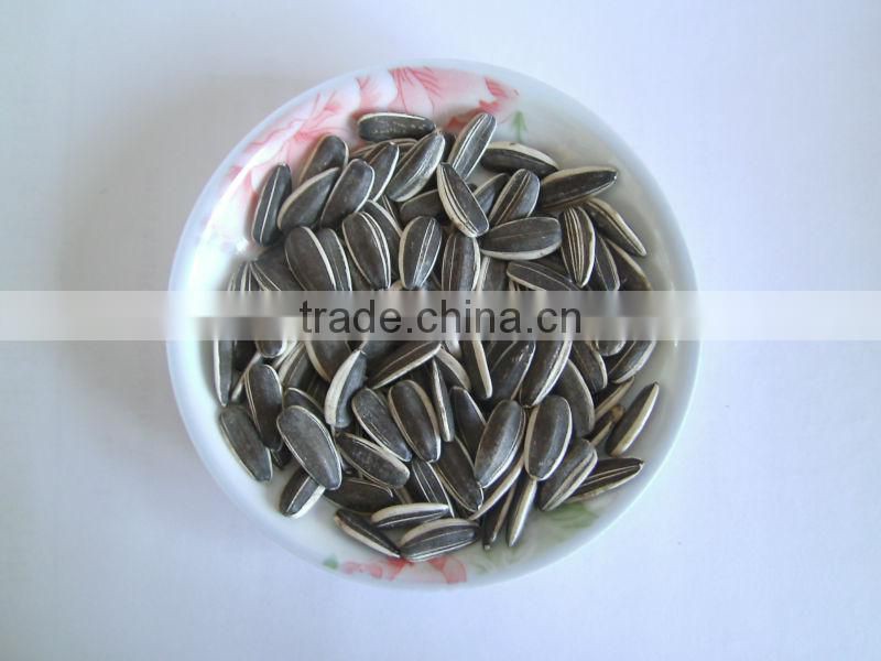 2016 top quality black long type edible sunflower seeds