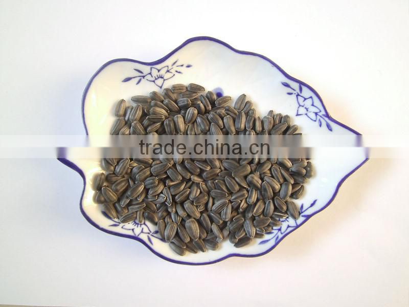 2016 top quality black long type edible sunflower seeds