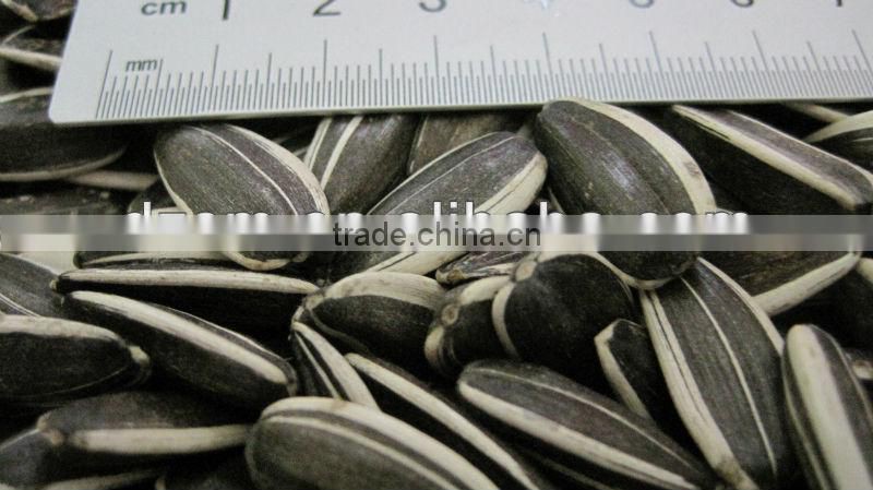 sunflower seeds 24/64