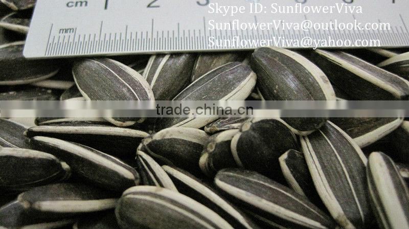 sunflower seeds 24/64 5009