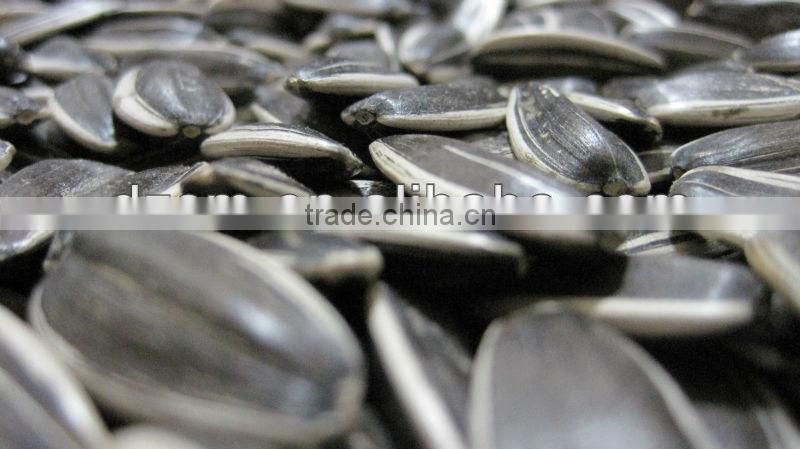 Sunflower Seeds 5009 ,DUBAI, IRAN
