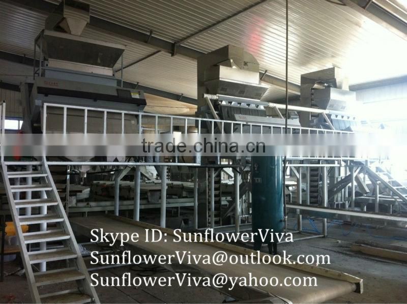 sunflower seeds 24/64 5009