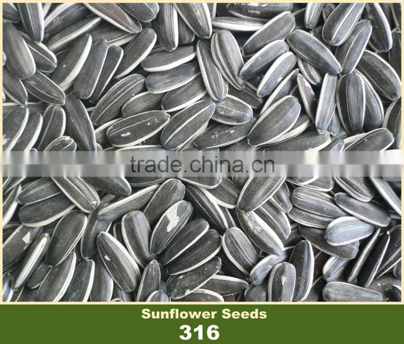 2016 New Crop Chinese Sunflower Seed 316