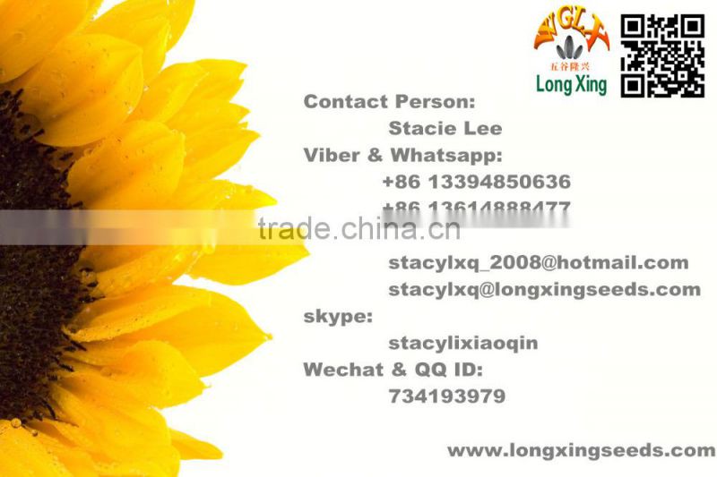 White Sunflower Seeds Biggest Company in China
