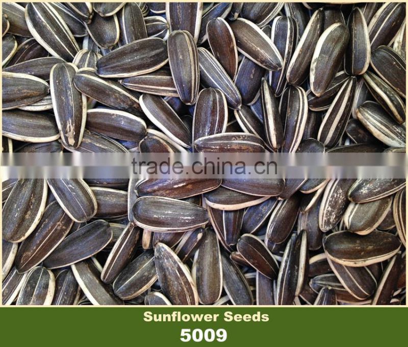 Bulk Chinese Confectionery Sunflower Seeds