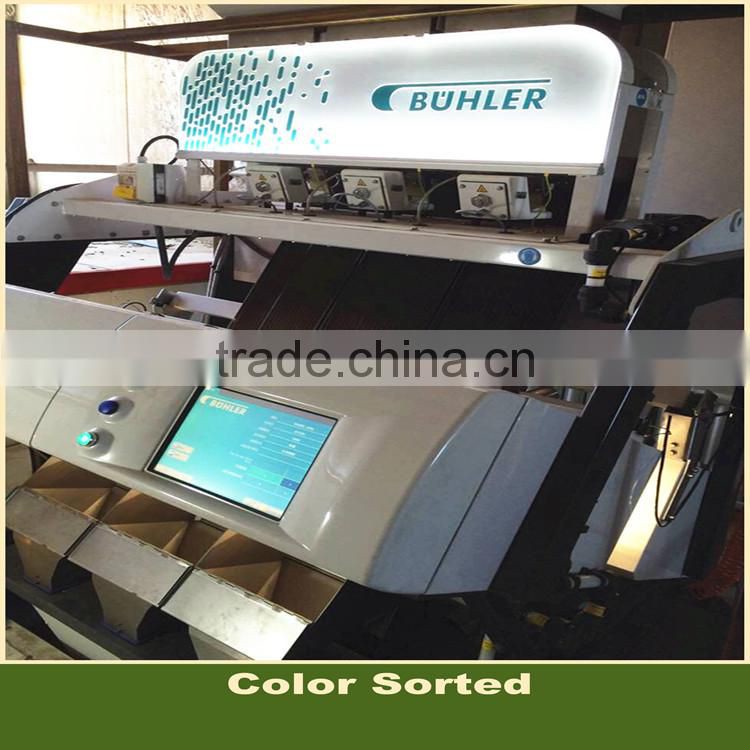 Price of Sunflower Seeds 815 Big Size With White Strip