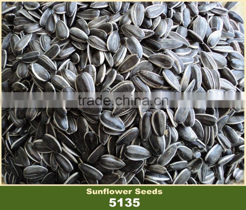 White Strip Sunflower Seeds Planting