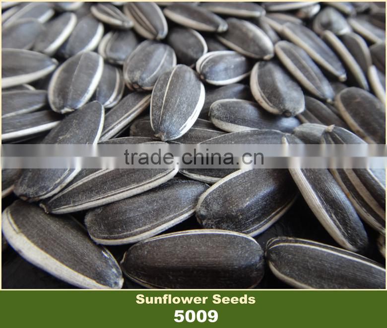 The Biggest Factory Bulk Chinese Confectionery Sunflower Seeds