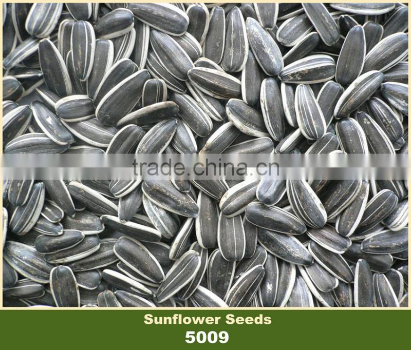 China Biggest Company of Sunflower Seed 5009 24/64 with Long Type Ton Price