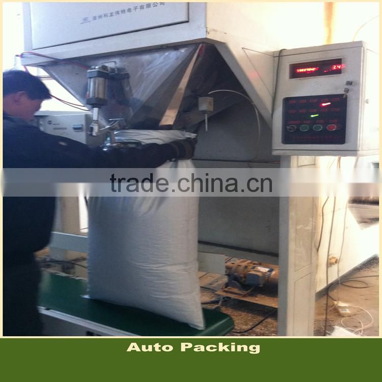 Confectionary Sunflower Seeds