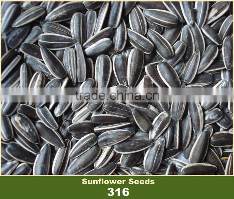 2016 New Crop Chinese Sunflower Seed 316