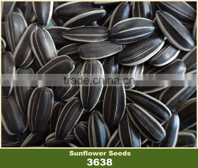 Confectionary Sunflower Seeds