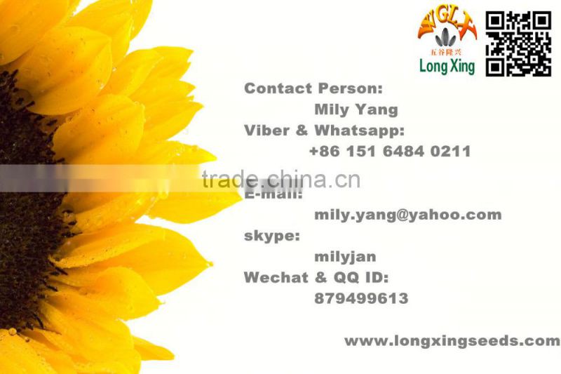 Chinese White Sunflower Seeds with Black Strip Ton Price