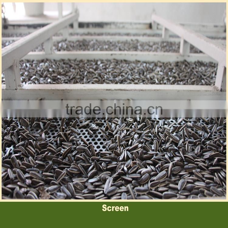 Price of Sunflower Seeds 815 Big Size With White Strip