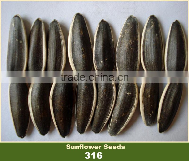 Chinese Sunflower Seed 316