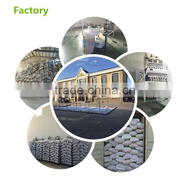 sunflower seeds 601from Inner Mongolia