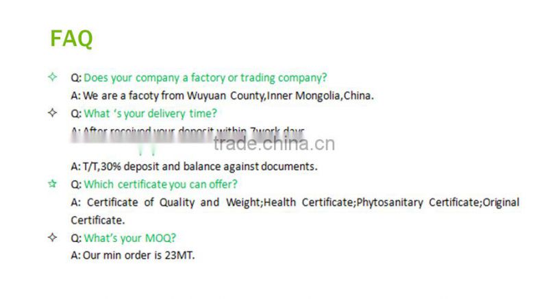 sunflower seeds 601from Inner Mongolia